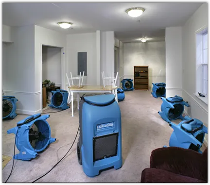 Water Damage Restoration services in Hernando, FL