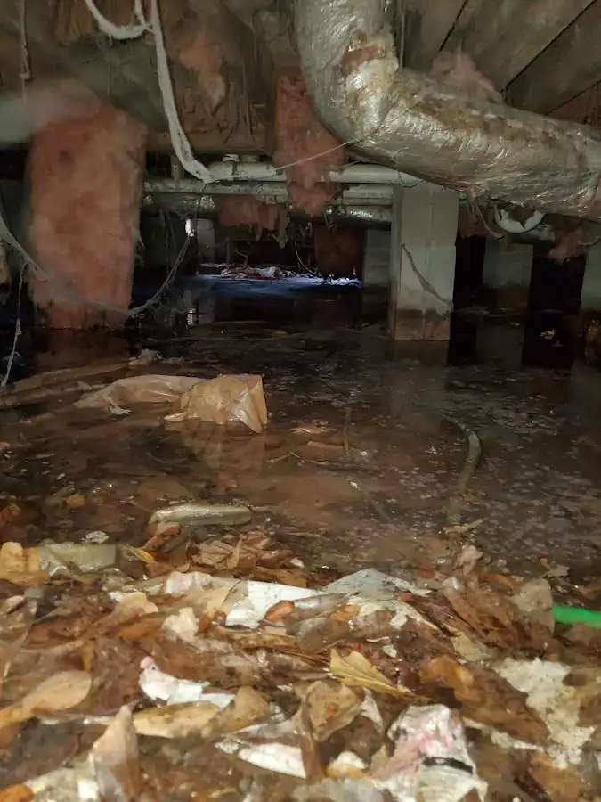 Crawl space flood assessment for Leak Detection & Repair in Hernando